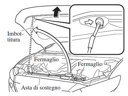 Apertura cofano