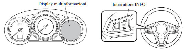 Display multinformazioni