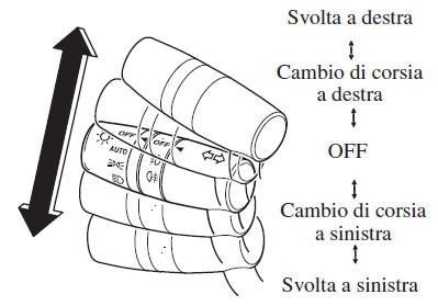 Indicatori di direzione