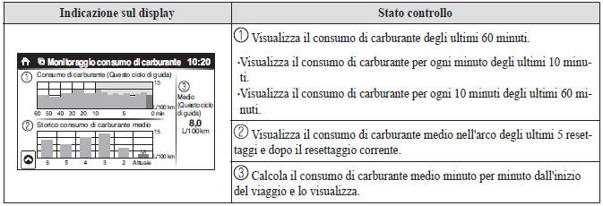 Display consumo di carburante