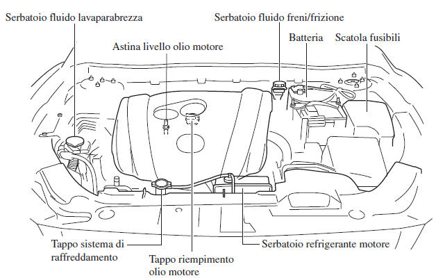 Panoramica vano motore