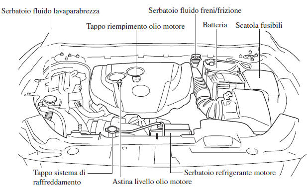 Panoramica vano motore