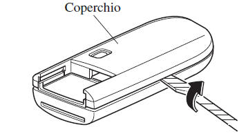 Sostituzione batteria chiave