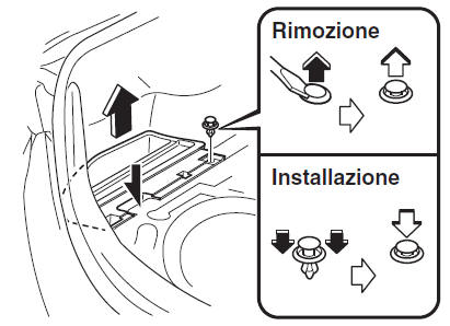 Indicatori di direzione posteriori