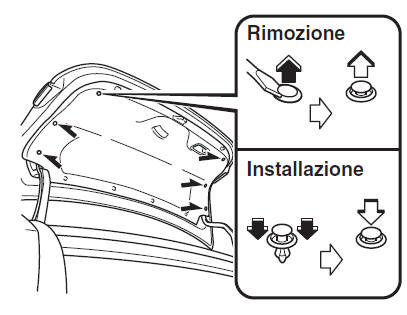 Luci di posizione posteriori 