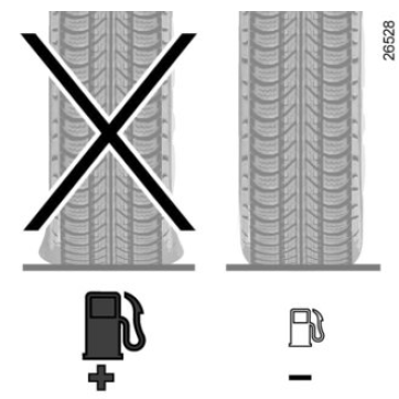 Consigli di guida e guida ecologica