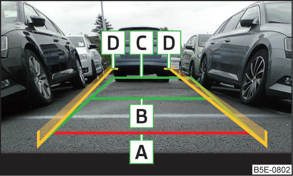 Linee di orientamento e della carreggiata