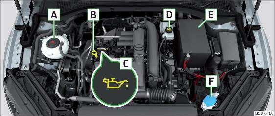 Fig. 312 Esempio di disposizione nel vano motore