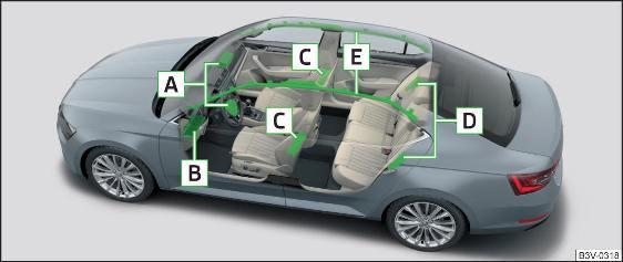 Fig. 19 Ubicazione degli airbag